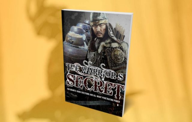 The Warrior's Secret reviews