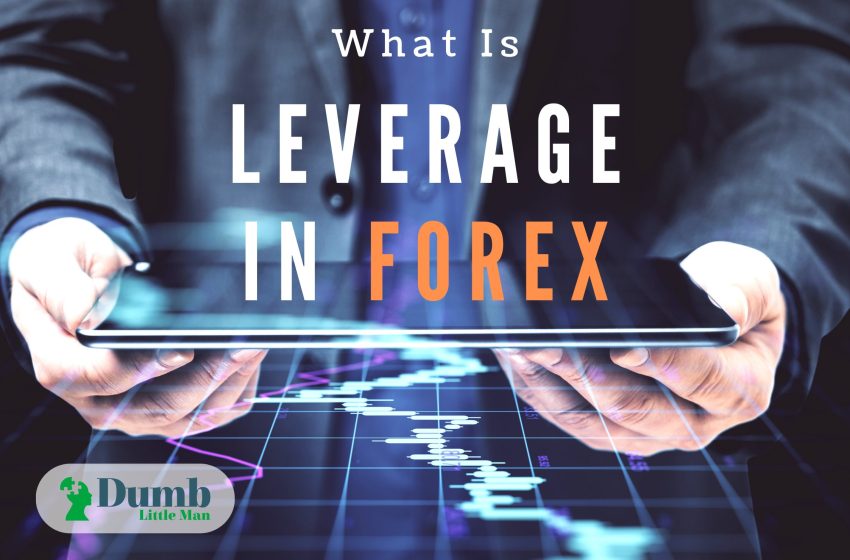  What is Leverage in Forex: All You Need To Know