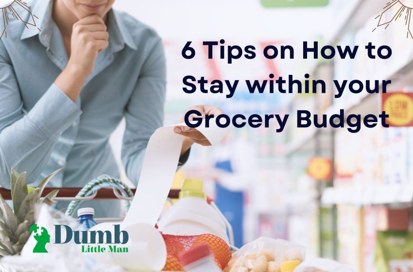  6 Tips on How to Stay within your Grocery Budget