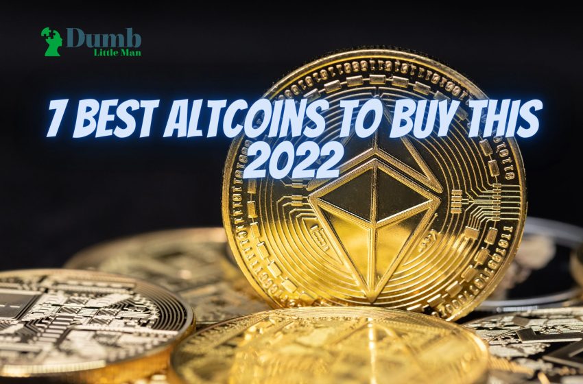  7 Best Altcoins to Buy this 2022