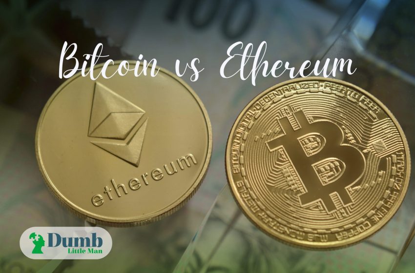  Bitcoin vs Ethereum: New Crypto Investors Guide in 2023