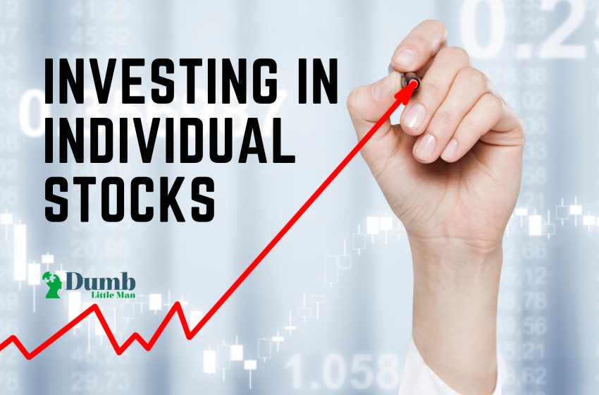  Investing in Individual Stocks: Beginners Guide To Stocks Investing in 2022