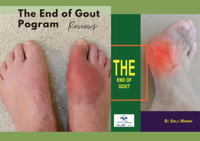 the end of gout reviews