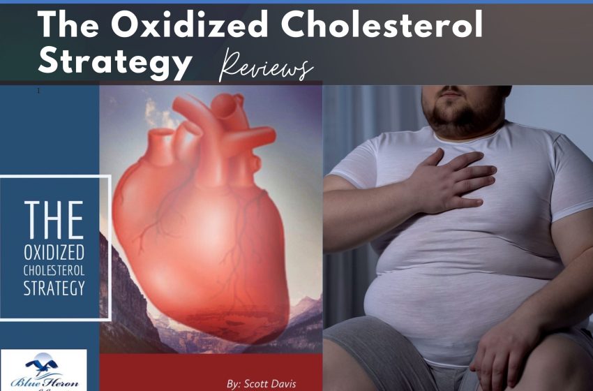 The Oxidized Cholesterol Strategy Reviews 2023: Does it Really Work?