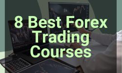 best forex trading course