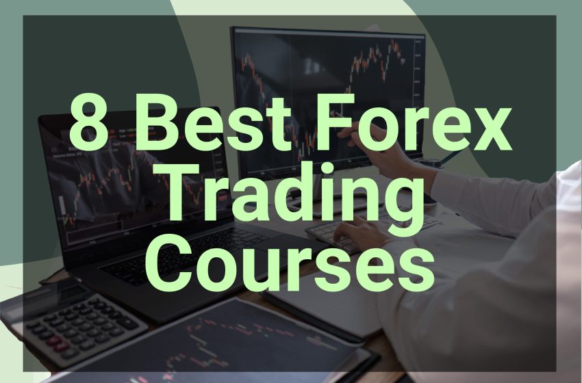  8 Best Forex Trading Courses In 2022