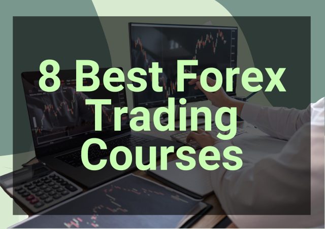 best forex trading course