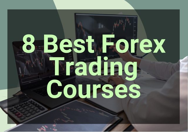 free forex trading course