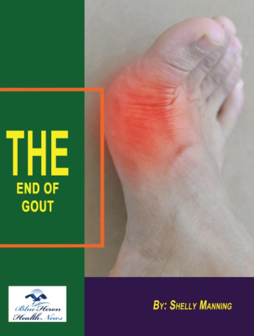 the end of gout reviews