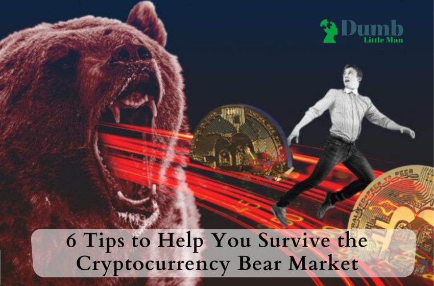  6 Tips to Help You Survive the Cryptocurrency Bear Market