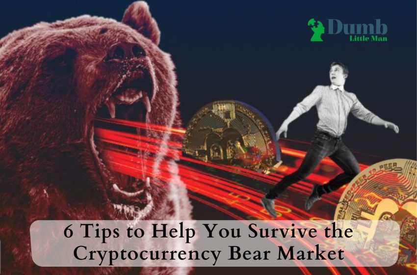 6 Tips to Help You Survive the Cryptocurrency Bear Market