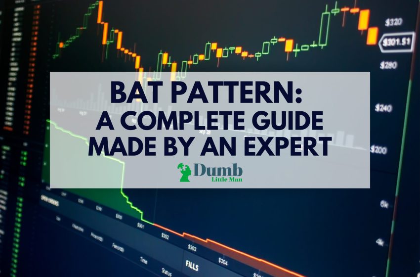 Bat Pattern: A Complete Guide from an Expert