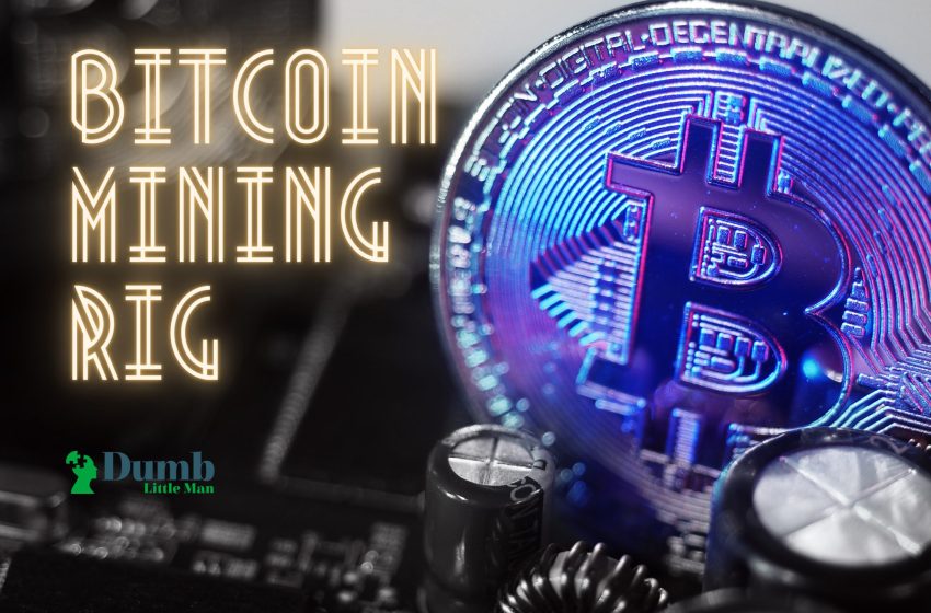 Bitcoin Mining Rig: In-Depth Analysis from an Expert