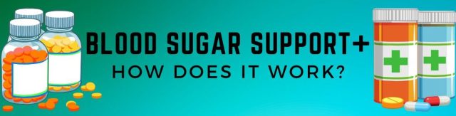 Blood Sugar Support Plus reviews