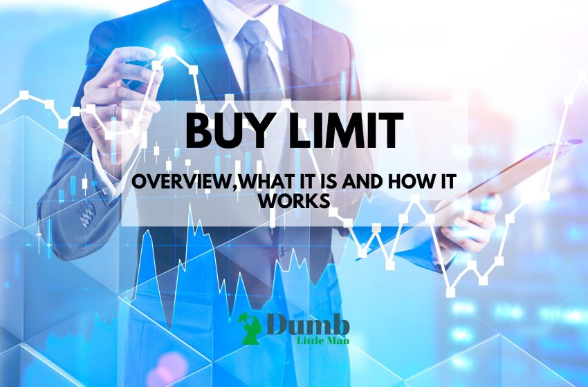  Buy Limit: Overview, What It Is, And How It Works