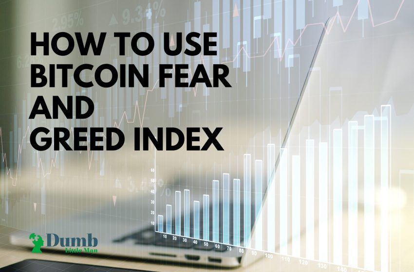How To Use Bitcoin Fear And Greed Index