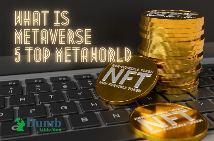 What is Metaverse – 5 Top MetaWorld