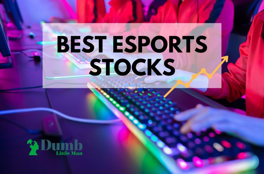  5 Best Esports Stocks To Invest in 2023