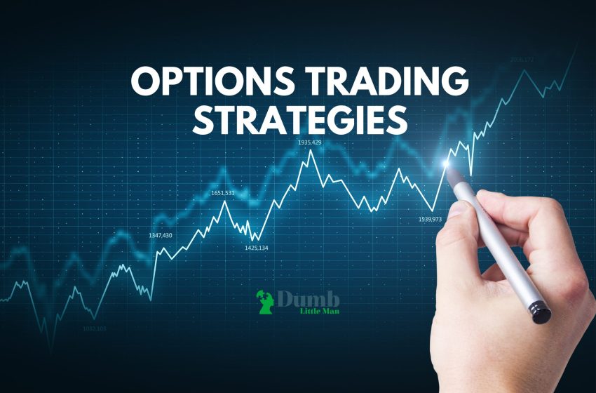  5 Basic Options Trading Strategies in 2022