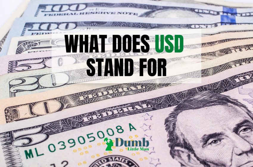  What Does USD Stand For: Everything You Need To know