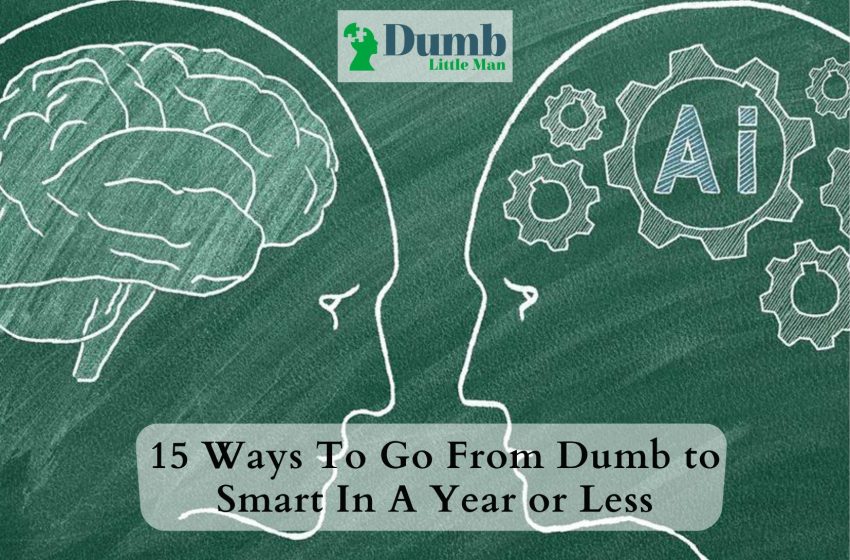  15 Ways To Go From Dumb to Smart In A Year or Less