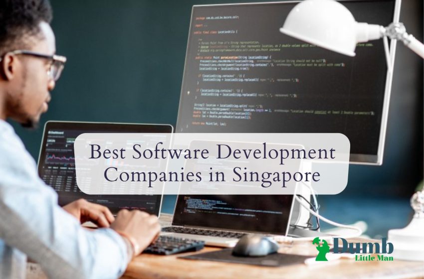  5 Best Software Development Companies in Singapore 2023
