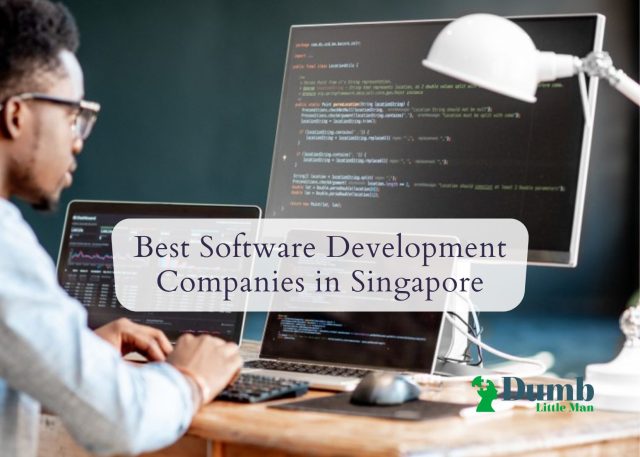 Best Software Development Companies in Singapore