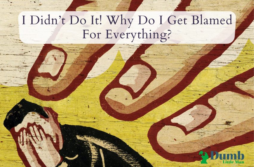  I Didn’t Do It! Why Do I Get Blamed For Everything?