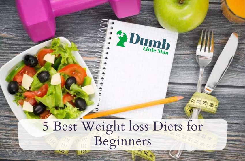  5 Best Weight loss Diets for Beginners