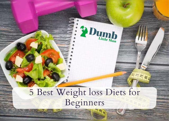 5 Best Weight loss Diets for Beginners