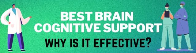 Best Brain Cognitive Support reviews