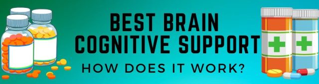 Best Brain Cognitive Support reviews