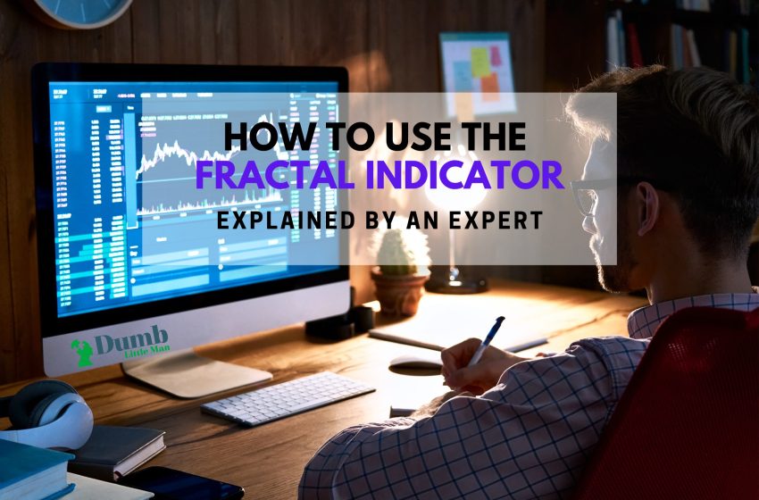  How To Use The Fractal Indicator: Explained By An Expert