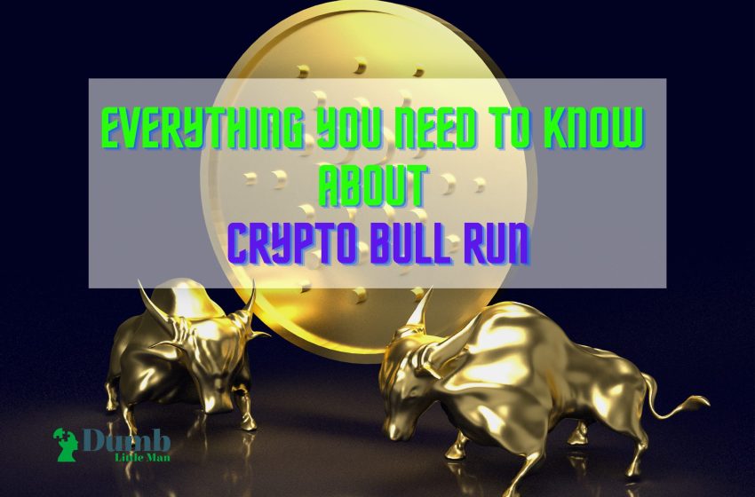  Everything You Need To Know About Crypto Bull Run