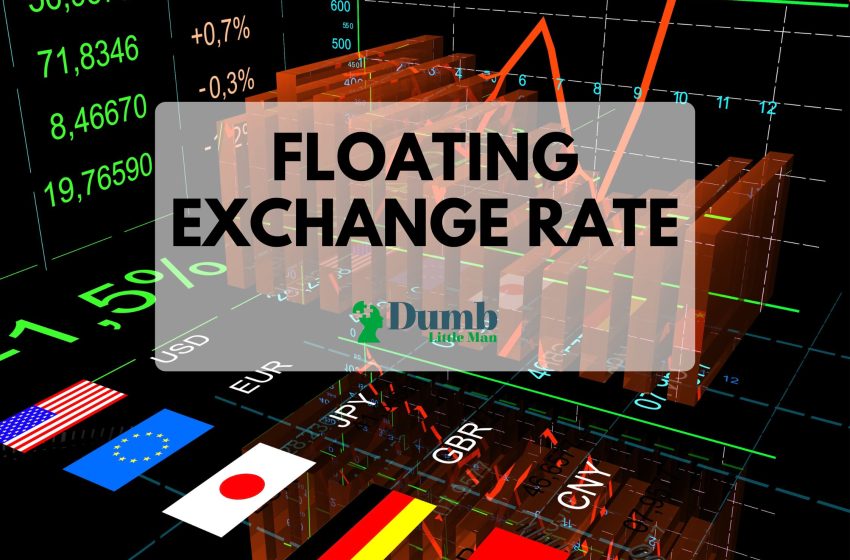  Floating Exchange Rate: Definition and How It Works