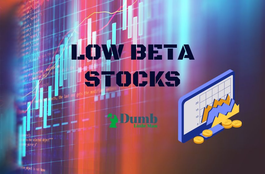  Top 6 Low Beta Stocks in 2023