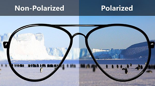 Why are polarized sunglasses better clearance