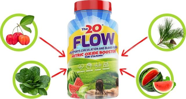 the-20-flow reviews