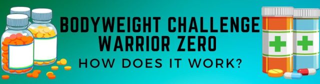 warrior zero reviews