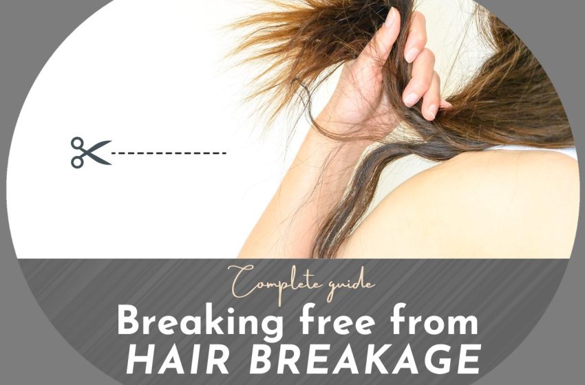  Breaking Free From Hair Breakage: Complete Guide 2023