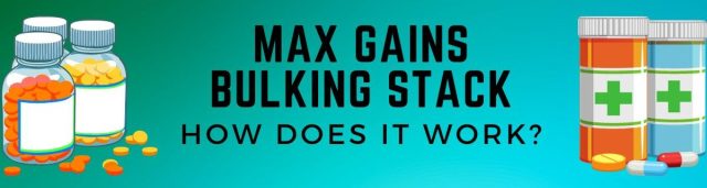 Max Gains Bulking Stack Reviews