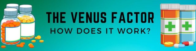 the-venus-factor-program