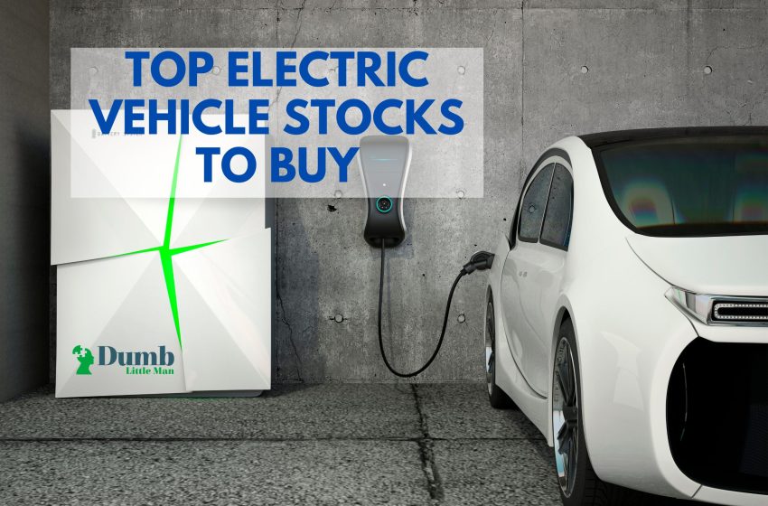 7 Top Electric Vehicle Stocks To Buy in 2023