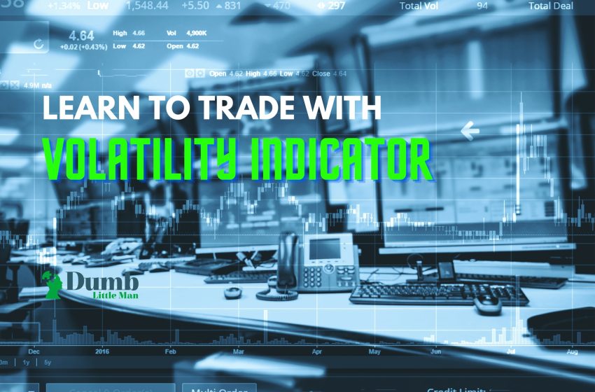 Learn to Trade with Volatility Indicator – An Expert’s Take 2023