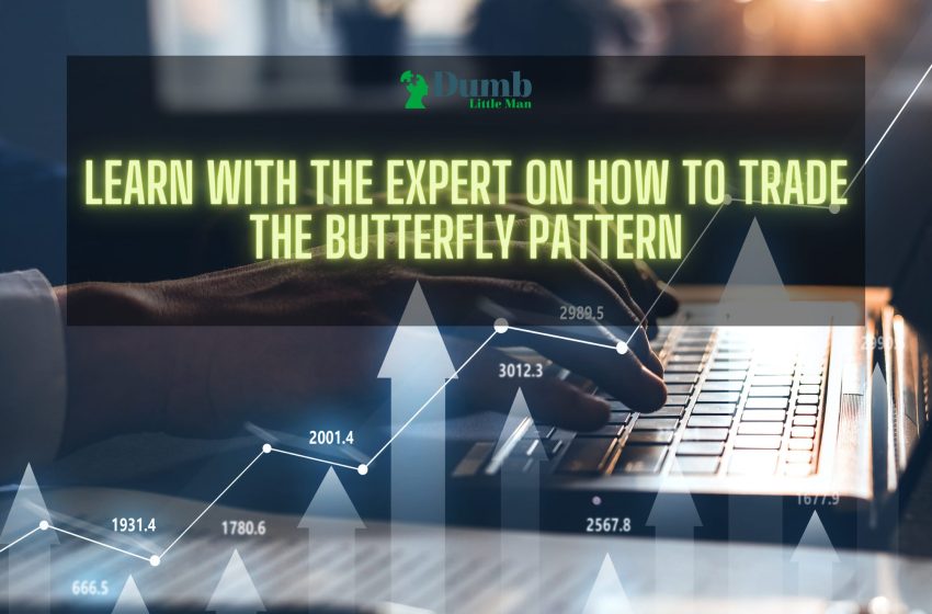  How To Trade the Butterfly Pattern – An Expert’s Take 2023