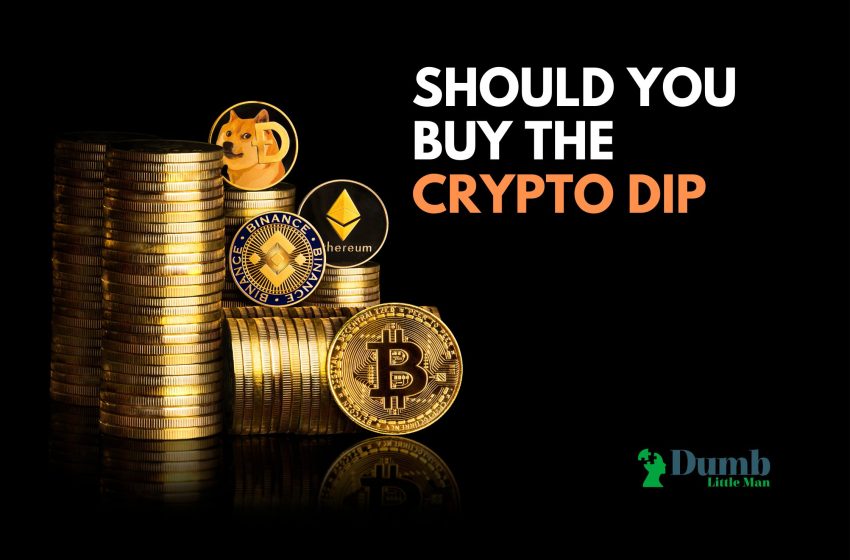  Should You Buy The Crypto Dip (2023)