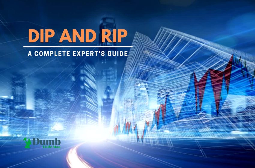 Dip and Rip – A Complete Expert’s Guide 2023