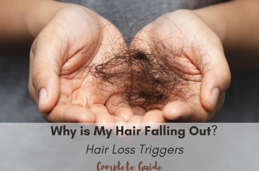  Why is My Hair Falling Out? Triggers of Hair Loss
