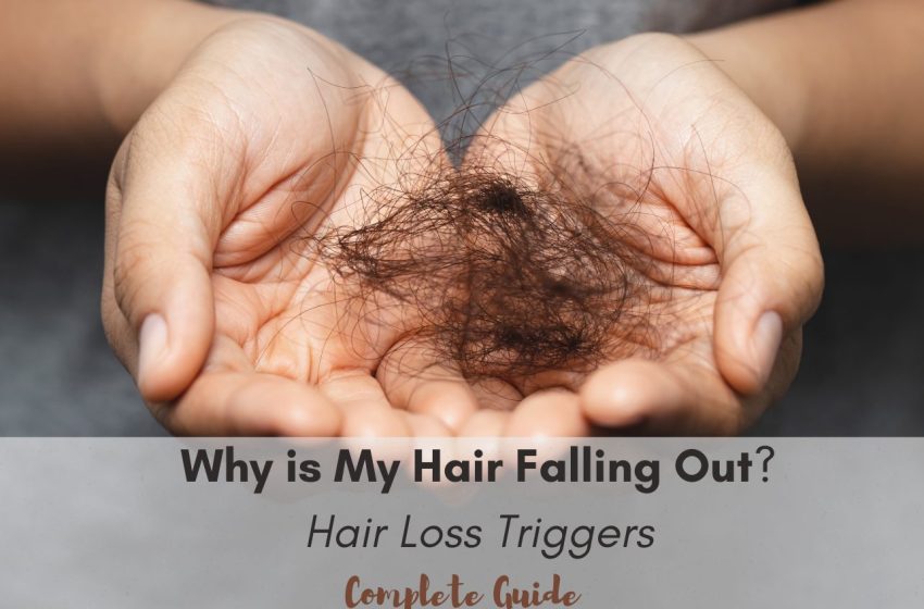  Why is My Hair Falling Out? Triggers of Hair Loss