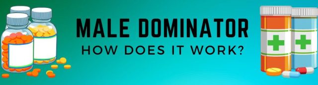 male dominator reviews